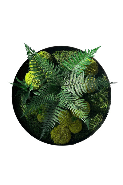 Narium Cerc din licheni peisaj Ø 50 cm