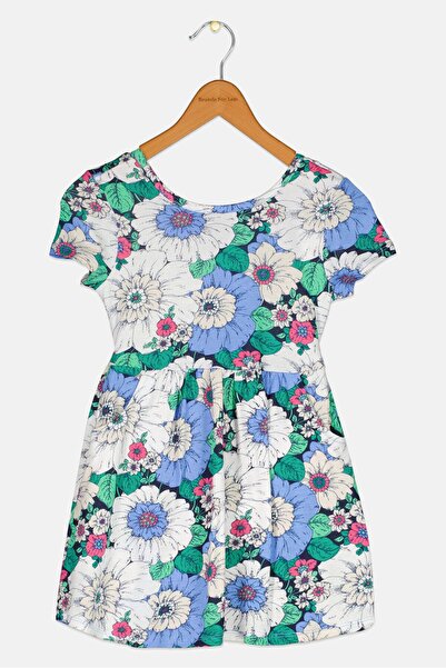 GAP Toddlers Girl 2 Pieces Floral Print Dress, Multicolor