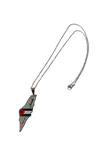 Zaytoon قلادة للجنسين بسلسلة فضية اللون مع علم فلسطين على الخريطة، 44 سم، مود...