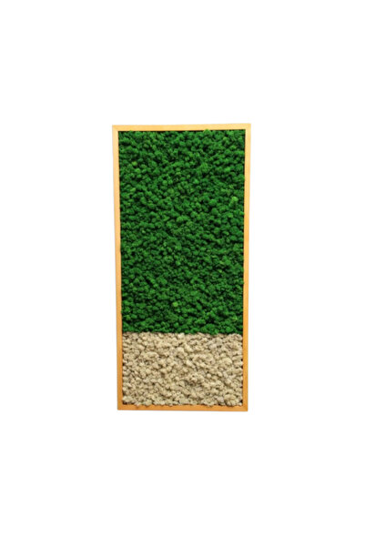 Narium Tablou mușchi stabilizat 80x40 cm