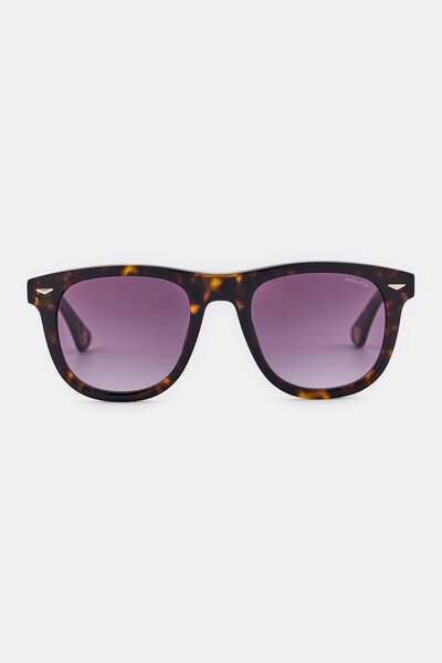 Police Men SPLL87V Square Sunglasses, Havana Brown