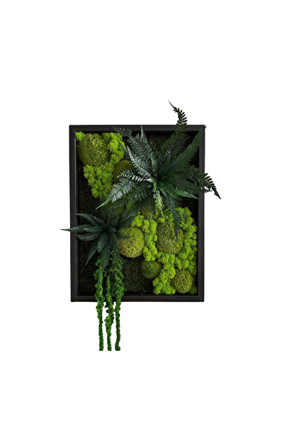 Narium Cadru din mușchi stabilizat 30×40 cm