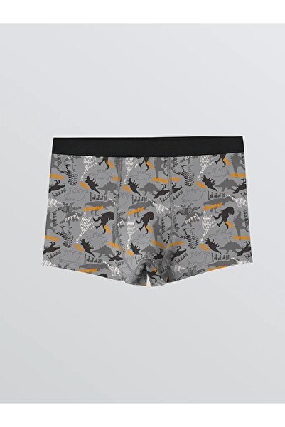 LC Waikiki Printed Boys' Boxer 3-Pack (W5)