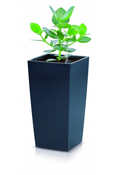 Other Ghiveci înalt URBI DURS200 cu insert | Antracit