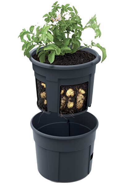 Other Cultivator de cartofi 300 cu ghiveci rotund pentru cultivarea cartofilor