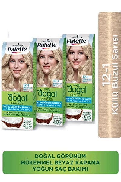 Palette Kalıcı Doğal Renkler 12-1 Küllü Buzul Sarısı X 3 Adet