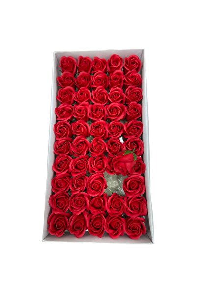 dalimag Decorative Soap Roses, 7x5cm, Set of 50, Red, in Windowed Cardboard Box - TRS1