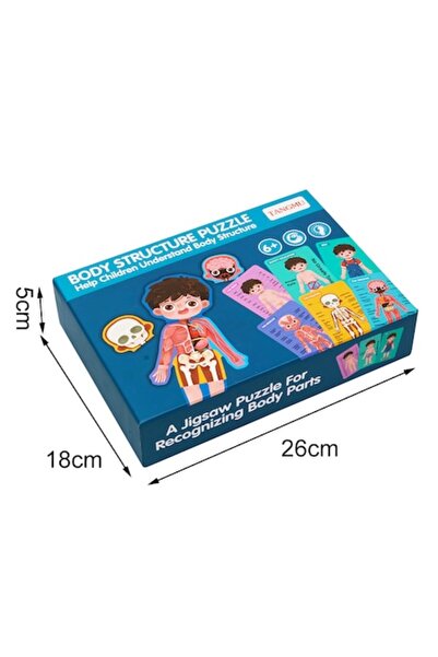 OEM Educational Game, Human Body Puzzle Montessori, Wooden, Multicolor