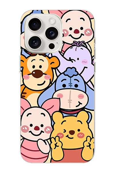 Elorakılıf Iphone 16 Pro Uyumlu Baskılı Yumuşak Silikon Şeffaf Telefon Kılıfı