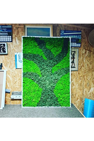 Narium Tablou cu mușchi stabilizat 100×80 cm