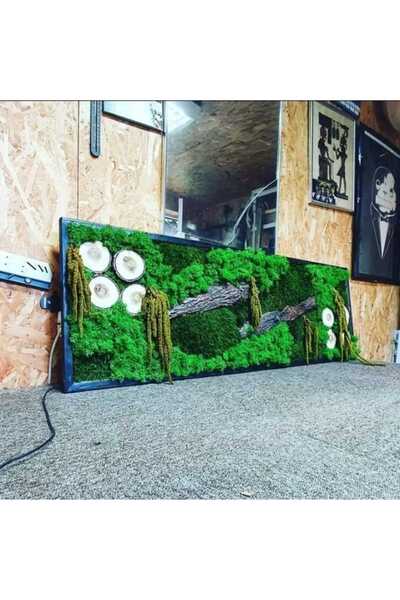 Narium Pictură cu mușchi stabilizat 100×30 cm