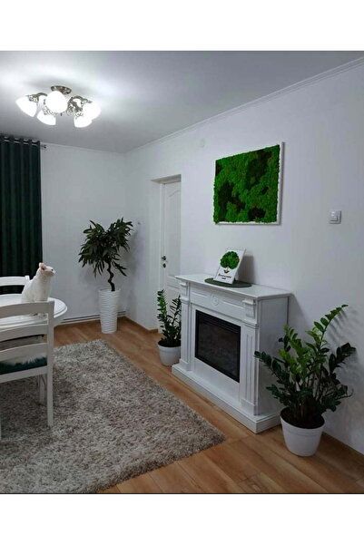 Narium Tablou cu licheni 60x50 cm