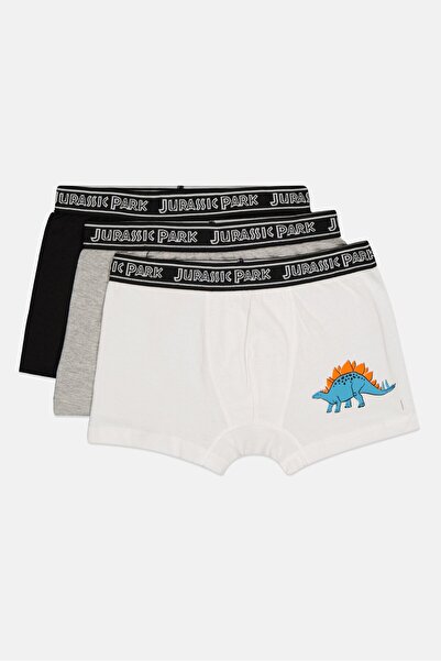 Jurassic Park Kids Boy 3 Pieces Graphic Print Boxer, Multicolor