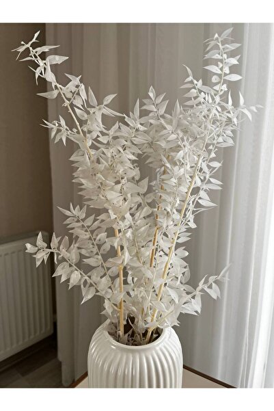 Vesile Atölye Kuru Çiçek Beyaz Kokina, Beyaz Kokina Demeti, Ev Dekorasyon, 4 ...