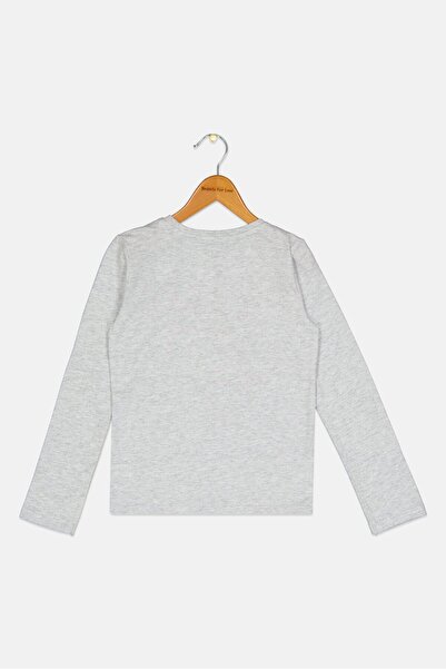 Sinsay X Disney Kids Girl Crew Neck Long Sleeve Graphic Print T-Shirt, Grey