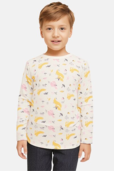 Sinsay Fox And Bunny By Toddlers Boy Crew Neck Long Sleeves Printed T-Shirt, Multicolor