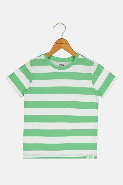 Sinsay Toddlers Boy Stripe Short Sleeve T-Shirt, Multicolor