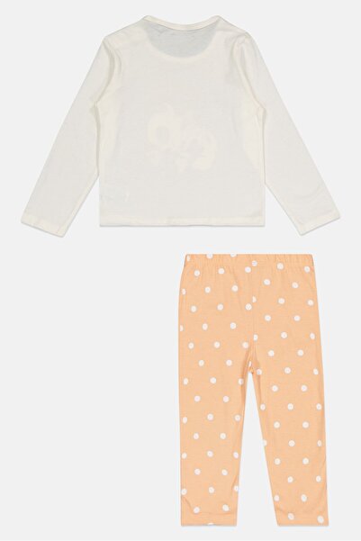 Sinsay Toddlers Girl 2 Pieces Long Sleeve Pyjama T-Shirt And Pants Set, Multicolor