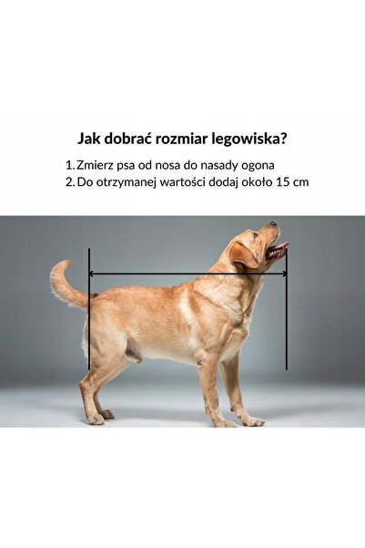 Other PAT MARE PENTRU CÂINE SAU PISICĂ 55x45 cm