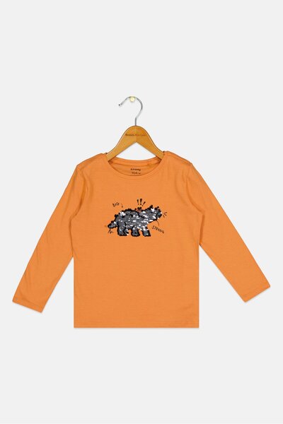 Sinsay تي شيرت بأكمام طويلة مزخرف برقبة دائرية للأولاد الصغار، برتقالي