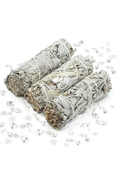 Generic Brand 3 Pack White Sage Smudge Sticks, White Sage Bundles, Cleansing ...