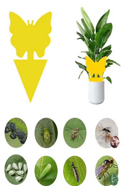 OEM Set 10 placi cu lipici, galbene, pentru insectele de ghiveci și de gradina
