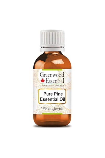Generic Greenwood Essential Pure Pine Essential Oil (Pinus sylvestris) Steam ...
