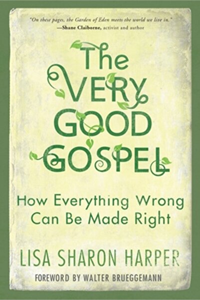 BIBLIOBAZAAR The Very Good Gospel: How Everything Wrong Can Be Made Right