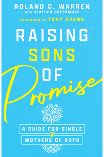 Inter Varsity Pr Raising Sons of Promise: A Guide for Single Mothers of Boys