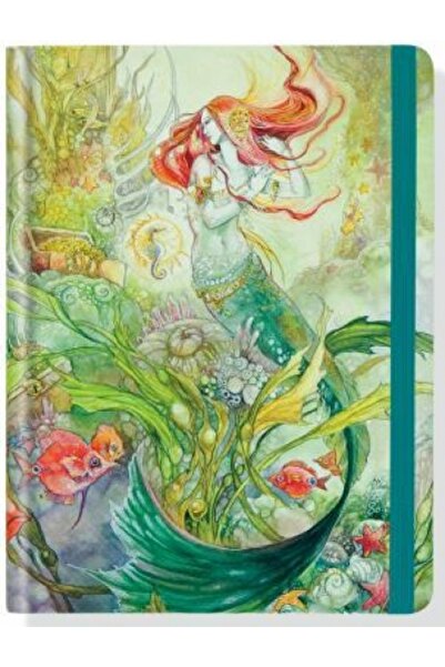 BIBLIOBAZAAR Mermaid Journal (Diary, Notebook)