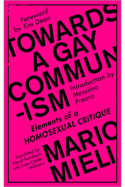 Harvey Press Towards a Gay Communism: Elements of a Homosexual Critique
