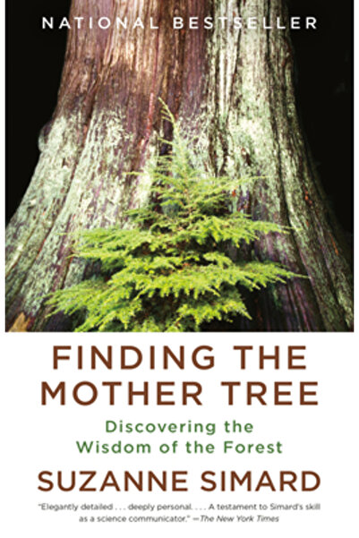 Vintage Finding the Mother Tree: Discovering the Wisdom of the Forest