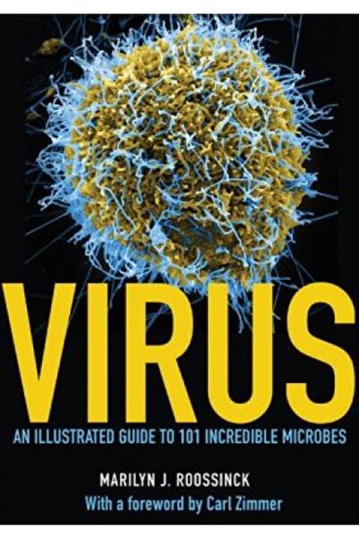 Princeton Univ Pr Virus: An Illustrated Guide to 101 Incredible Microbes
