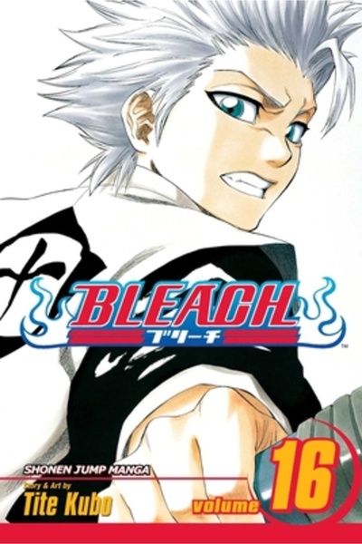 Viz Media Bleach, Volume 16
