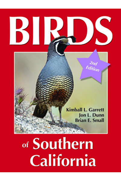 R W Morse Co Birds of Southern California