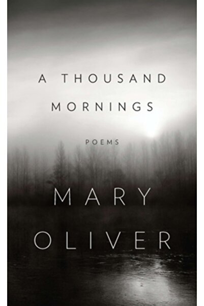 Cambridge Univ Pr A Thousand Mornings