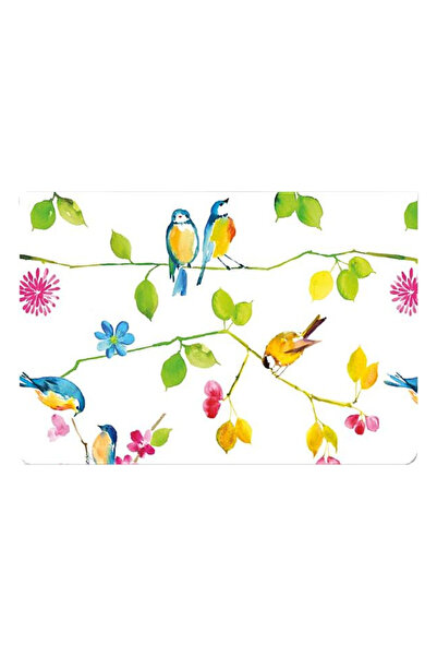 Peter Pauper Watercolor Birds Note Cards [With 15 Envelopes]