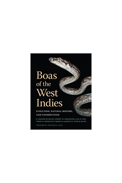 Comstock Pub Boas of the West Indies: Evolution, History, and Conservation