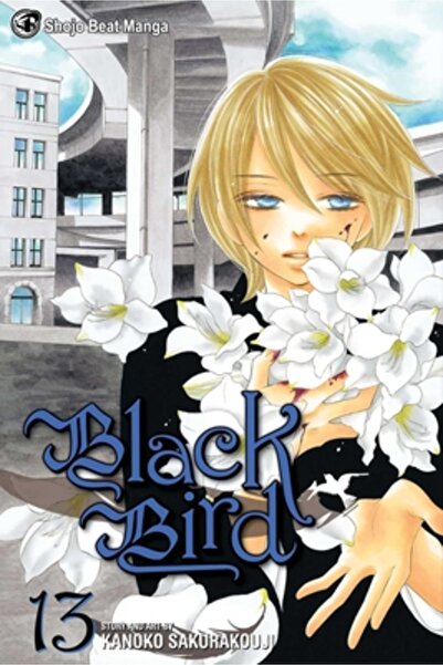 Viz LLC Black Bird, Volume 13