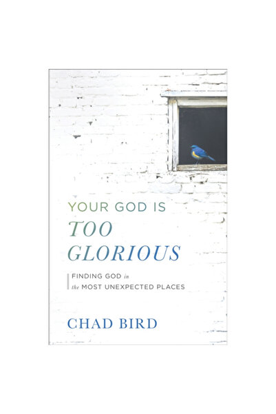 Baker Book House Your God Is Too Glorious: Finding God in the Most Unexpected...