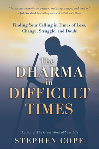 Hay House The Dharma in Difficult Times: Finding Your Calling in Times of Los...