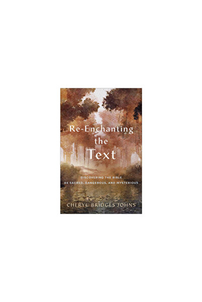 Baker Academic Re-Enchanting the Text: Discovering the Bible as Sacred, Dange...