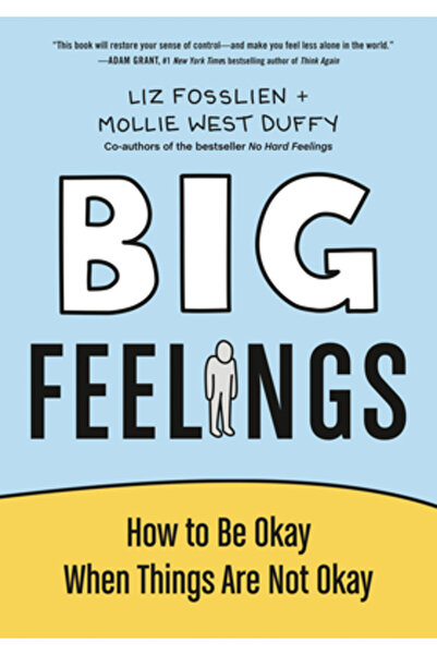 Portfolio Big Feelings: How to Be Okay When Things Are Not Okay
