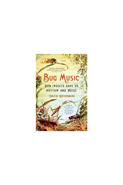 New Directions Bug Music: How Insects Gave Us Rhythm and Noise