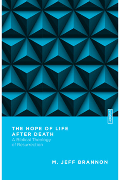 Ivp Academic The Hope of Life After Death: A Biblical Theology of Resurrection
