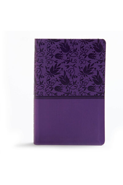 Holman A J KJV Large Print Personal Size Reference Bible, Purple Leathertouch...