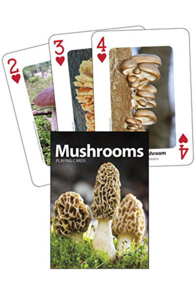 Adventurekeen Cărți de joc cu ciuperci