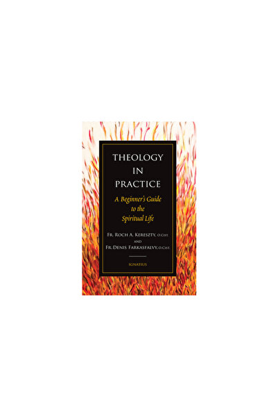 Ignatius Pr Theology in Practice: A Beginner's Guide to the Spiritual Life