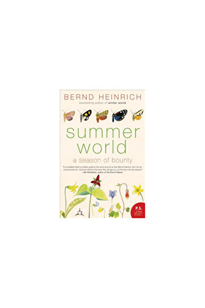 Ecco Summer World: A Season of Bounty