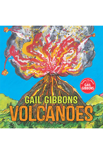 Holiday House Inc Vulcani